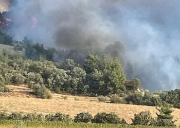Gördes’teki 2 orman yangını devam ediyor
