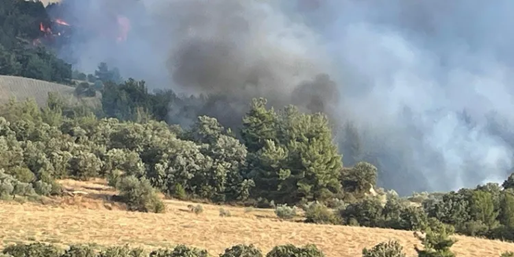 Gördes’teki 2 orman yangını devam ediyor