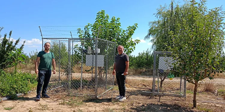 Beyşehir’de meyve bahçelerinde zararlılara karşı seferberlik