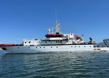 İzmit Körfezi’nde deniz ekosistemi hayat buluyor