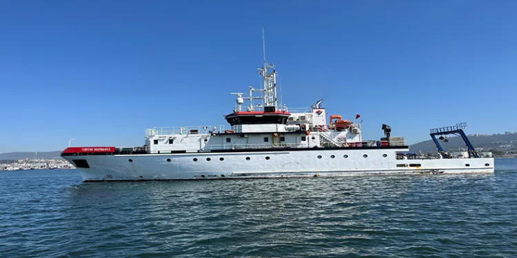 İzmit Körfezi’nde deniz ekosistemi hayat buluyor