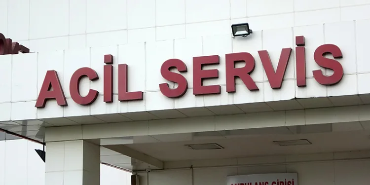 Mantardan zehirlenmeler arttı