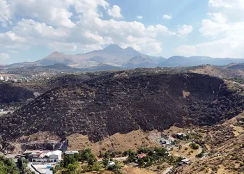 Atıl malzemeleri yakmak isterken; 130 bin metrekare alanı yaktılar