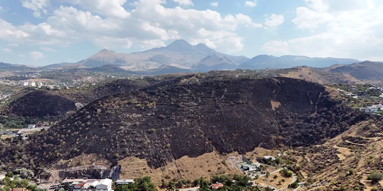 Atıl malzemeleri yakmak isterken; 130 bin metrekare alanı yaktılar