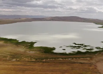 Bu yıl kurumayan Akgöl misafirlerini ağırlamaya devam ediyor