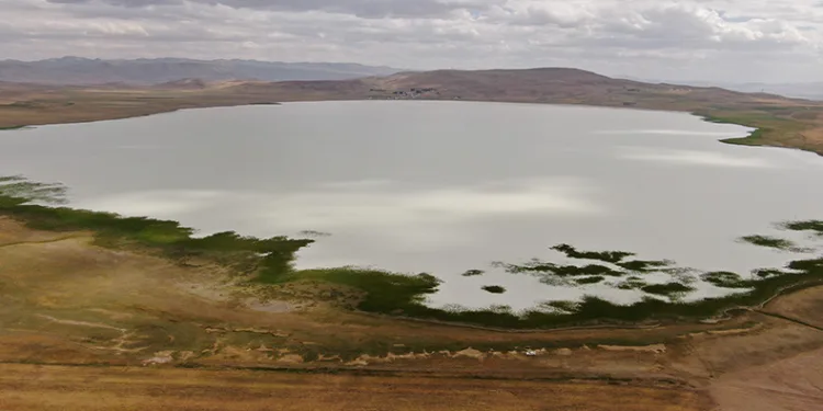 Bu yıl kurumayan Akgöl misafirlerini ağırlamaya devam ediyor