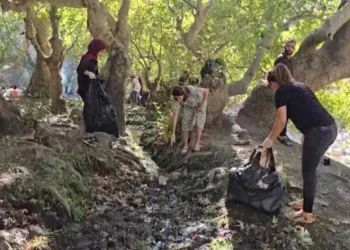 Doktorlar bu kez mıntıka temizliği için eldiven giydi