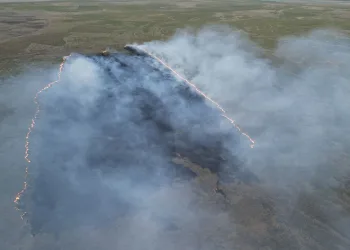 Eber Gölü’nde yangın: 9 dönüm alan zarar gördü
