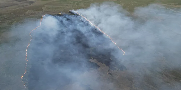 Eber Gölü’nde yangın: 9 dönüm alan zarar gördü