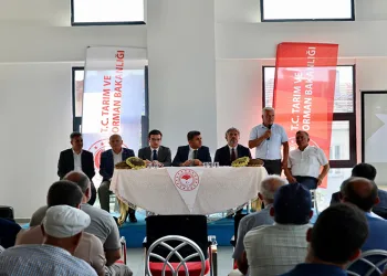 Ayçiçeği yetiştiriciliği son 3 yılda 30 bin dekarın üzerinde artış sağlandı