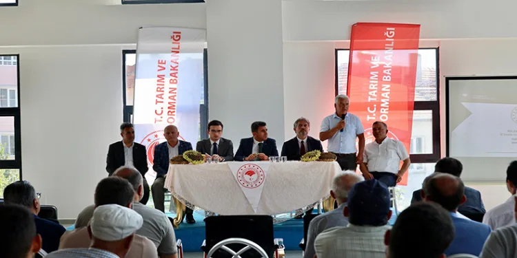 Ayçiçeği yetiştiriciliği son 3 yılda 30 bin dekarın üzerinde artış sağlandı