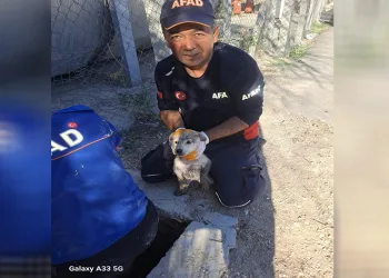 Yavru köpek 4 metrelik çukurdan çıkarıldı