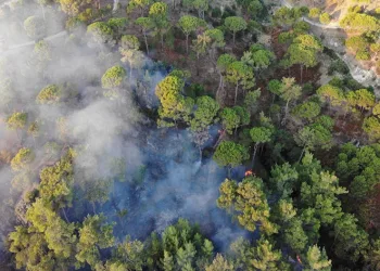 Bozdoğan yangını günün ilk ışıklarıyla görüntülendi
