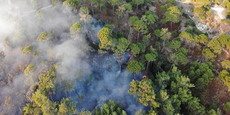 Bozdoğan yangını günün ilk ışıklarıyla görüntülendi