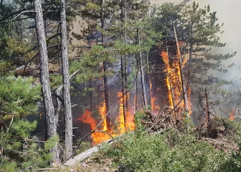Karabük’teki orman yangını rüzgarın etkisiyle yayılıyor