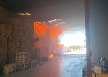 Bursa’da kereste fabrikası yangın