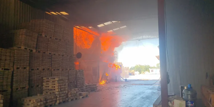 Bursa’da kereste fabrikası yangın