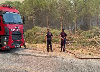 Aydın’da başlayan yangın Muğla sınırına ulaştı