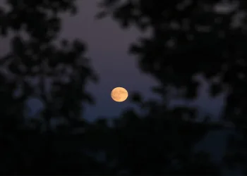 Ilgaz Dağı’nda muhteşem dolunay manzarası