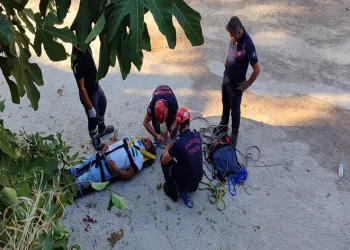 İncir toplarken ağaçtan düşerek, yaralandı