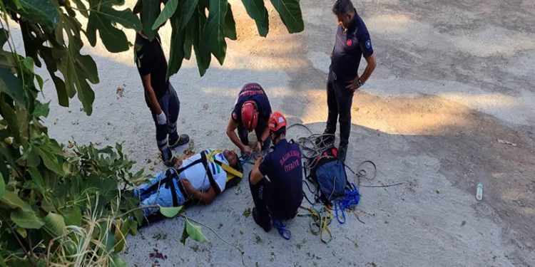 İncir toplarken ağaçtan düşerek, yaralandı