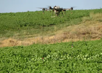 Bitlis’te çiftçiler tasarruf için ilaçlamayı drone ile yapıyor
