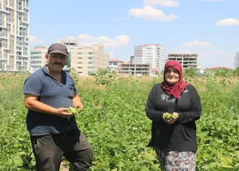 Apartmanlar arasında ata tohumunu yeşertiyor