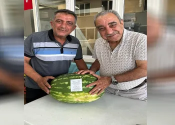 Ürettiği karpuzu düğün davetiyesi olarak kullandı