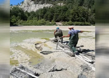 Kuruyan göldeki balıklar balçığın içerisinden kurtarıldı