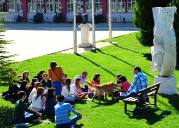 MSKÜ, 2024 YKS sonuçlarına göre yüzde 98,6 doluluk oranına ulaştı