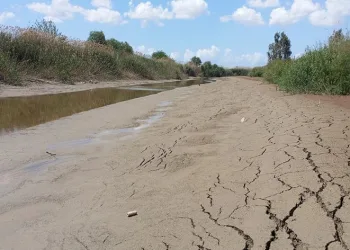 Büyük Menderes, ciddi kuraklıklarla karşı karşıya
