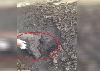 Balçıkta ölümü bekleyen köpeğe hayat kurtaran müdahale