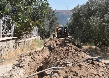 Balıkesir’de, 80 bin zeytin ağacı suyla buluştu