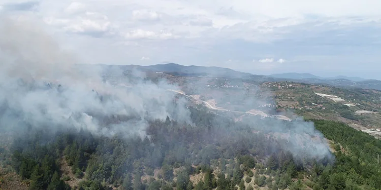 Devrek’teki orman yangınında soğutma çalışmaları tamamlandı