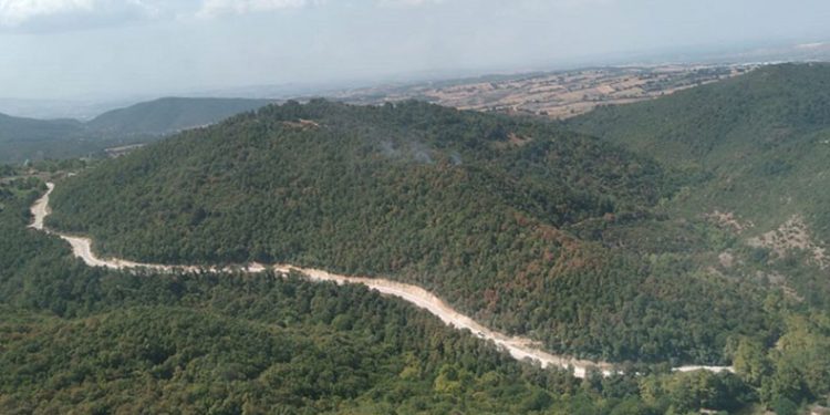 Mustafakemalpaşa’da orman yangını kontrol altına alındı