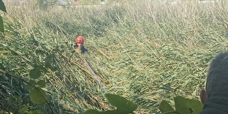 Kısaltmak için girdikleri yol kabusları oluyordu