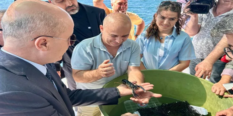 ÇOMÜ’nün Istakoz Yetiştirme Projesine YÖK Başkanı’ndan Destek