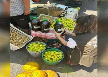 Semt pazarında gıda denetimi