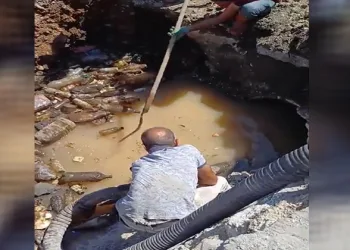 Tıkanan sulama kanalından hayvan leşleri çıktı