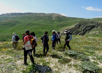 Tunceli’nin Pülümür ilçesinde yeni bitki tespit edildi