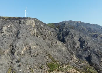 Yangın sonrası acı tablo gün ağarınca ortaya çıktı