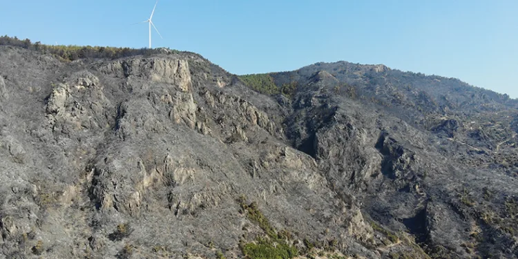 Yangın sonrası acı tablo gün ağarınca ortaya çıktı