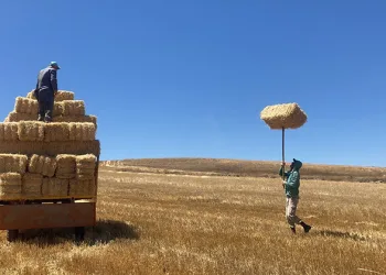 Kavuran sıcakta dondurucu kışa hazırlık