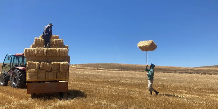 Kavuran sıcakta dondurucu kışa hazırlık