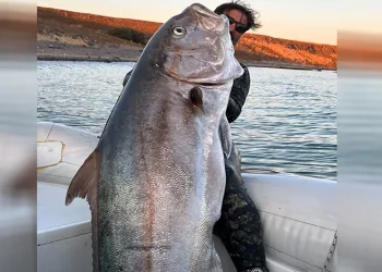 Rekortmen dalgıç, 64 kiloluk akya avladı