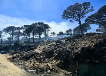 Bozdoğan’da hasar tespit çalışmaları başladı