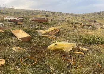 Konya’da 2 bin 500 rakımda ayılar 6 kovanı parçaladı