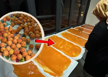 Yüksekova’da pestil yapımı