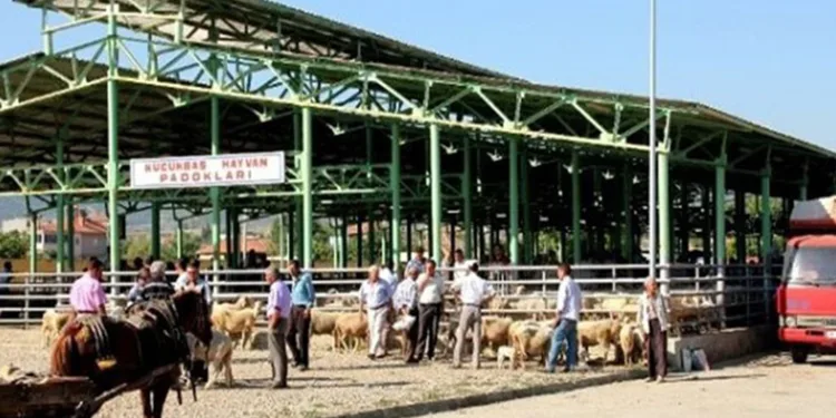 Sarıgöl Hayvan Pazarı ikinci bir emre kadar kapatıldı