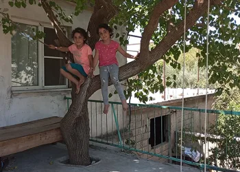 45 yıllık dut ağacını kesmedi, evinin balkonundan geçirdi